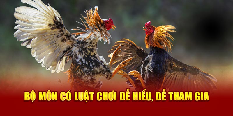 Bộ môn có luật chơi dễ hiểu, dễ tham gia