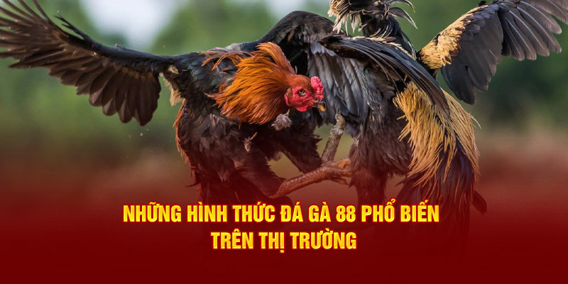 Những hình thức đá gà 88 phổ biến trên thị trường